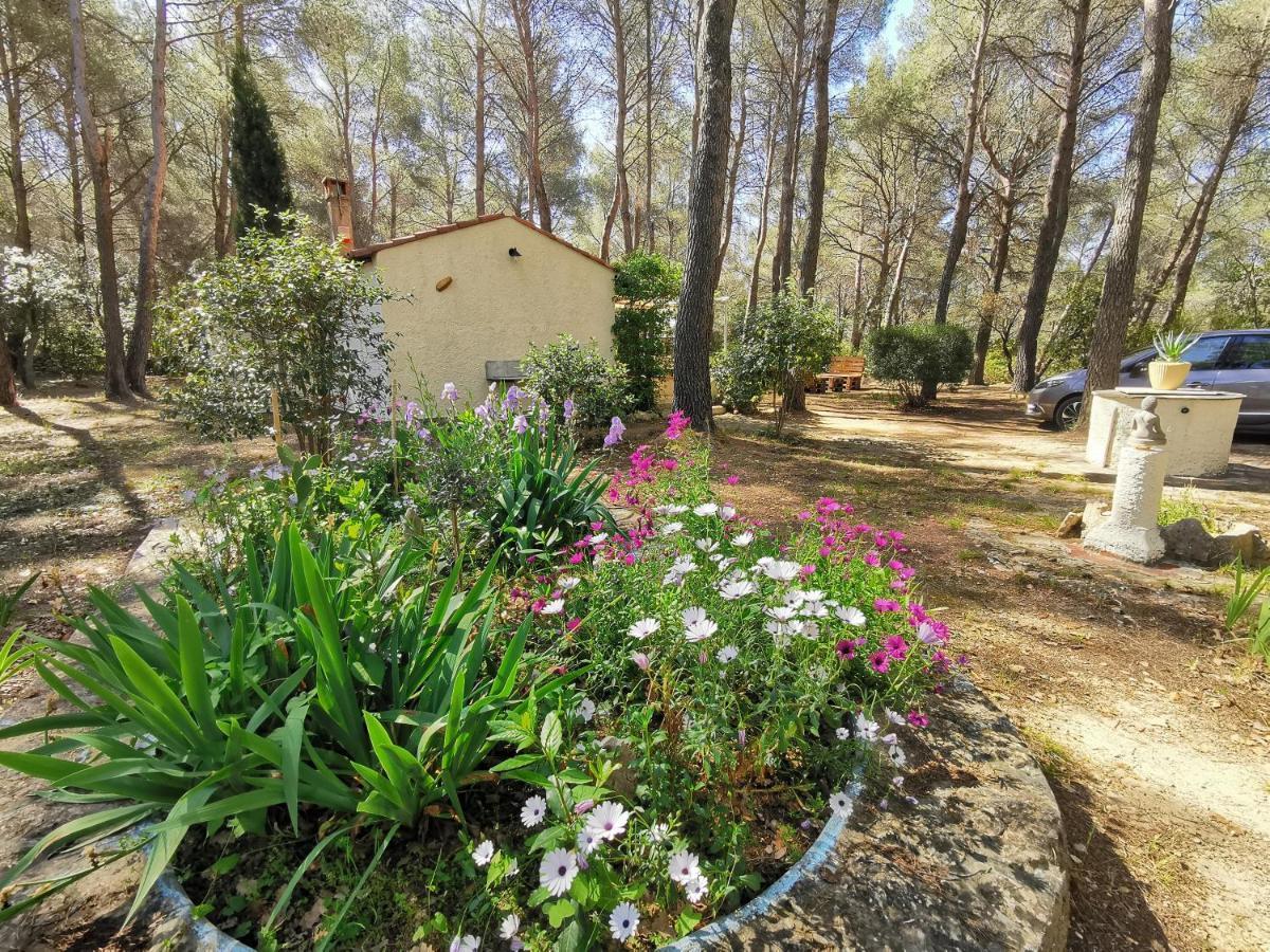 לה באסט Maisonnette En Pleine Nature מראה חיצוני תמונה