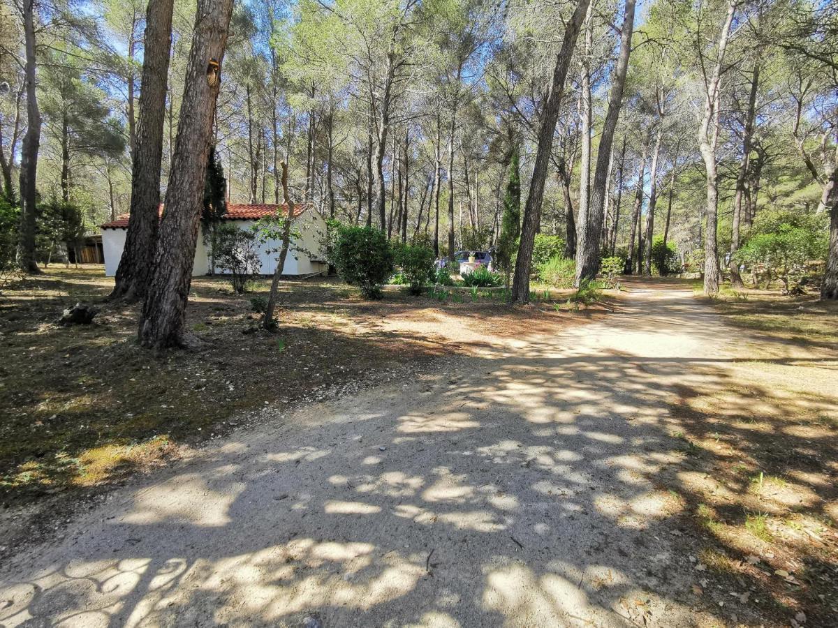 לה באסט Maisonnette En Pleine Nature מראה חיצוני תמונה